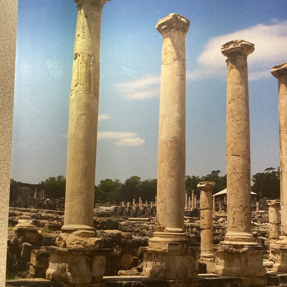 Greek Columns Photo - Picture 2 of 7